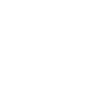 Icon_Dynamic 118