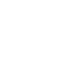 Icon_Video 117