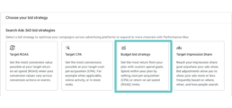 budgetbidstrategy_selection 2